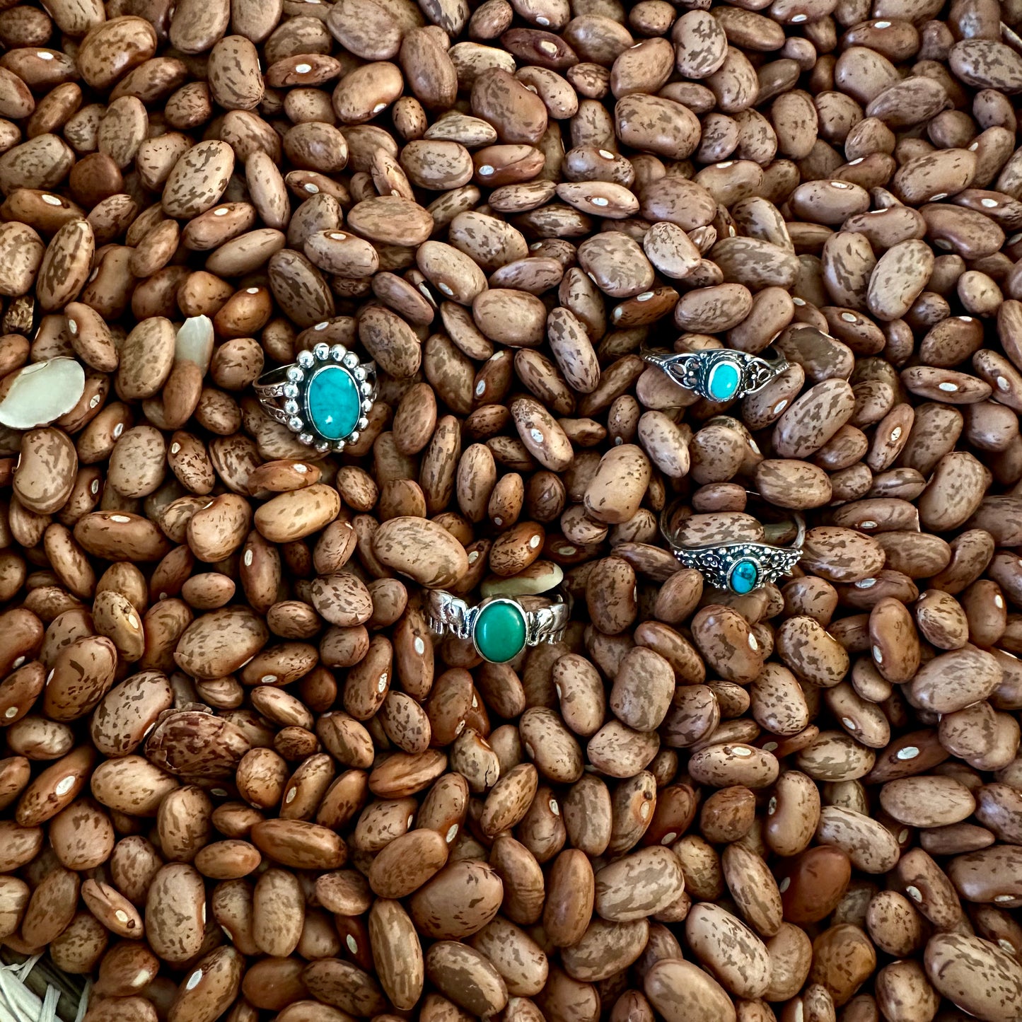 Turquoise Ring Bundle