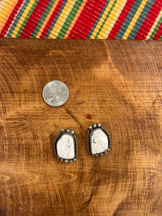 White buffalo Studs